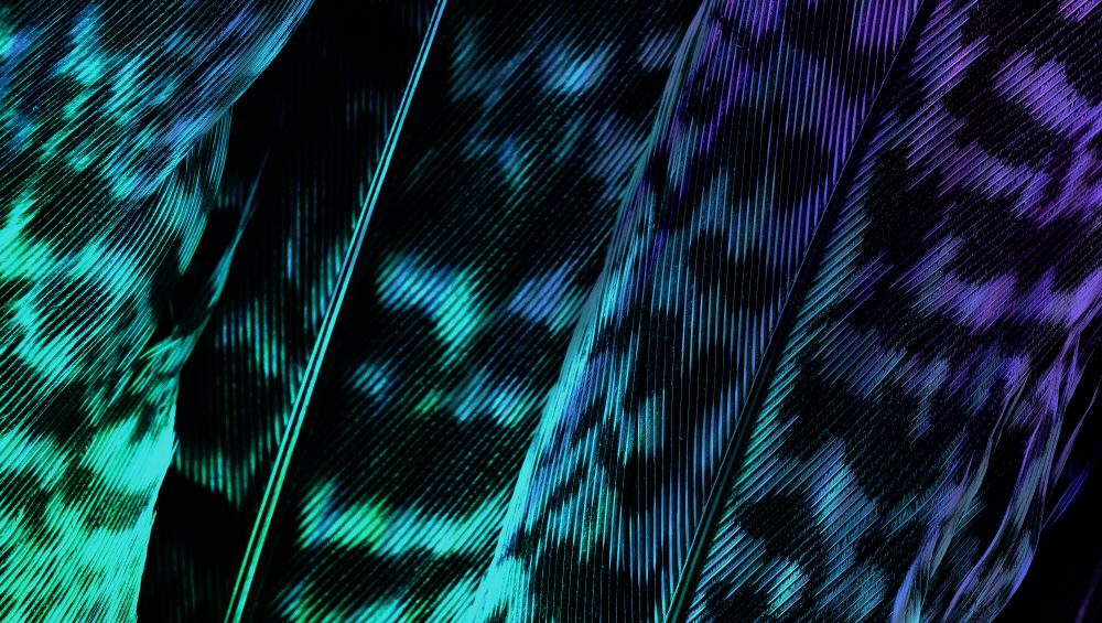 Leaf pattern background lit by neon lights.