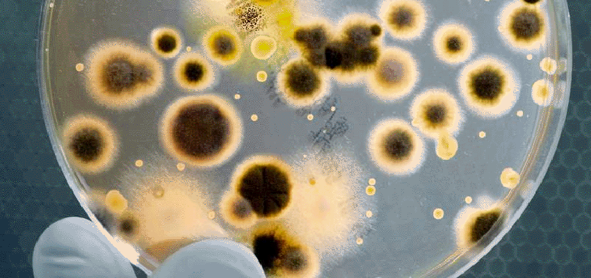 Biology – Pembrokeshire College