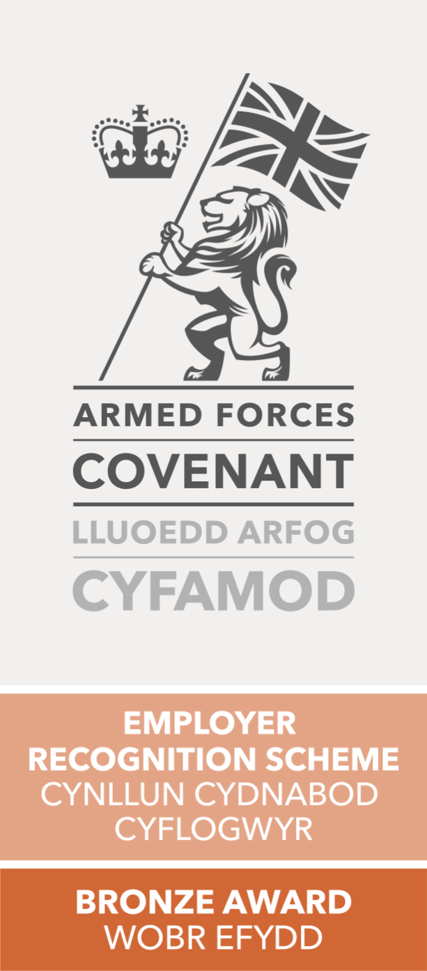 Armed Forces Bronze Logo