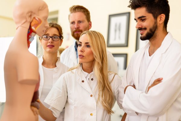 Medical students looking at anatomical model.