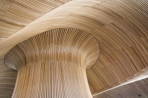Wooden architecture of the Welsh Assembly Government Senedd building.