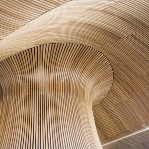 Wooden architecture of the Welsh Assembly Government Senedd building.