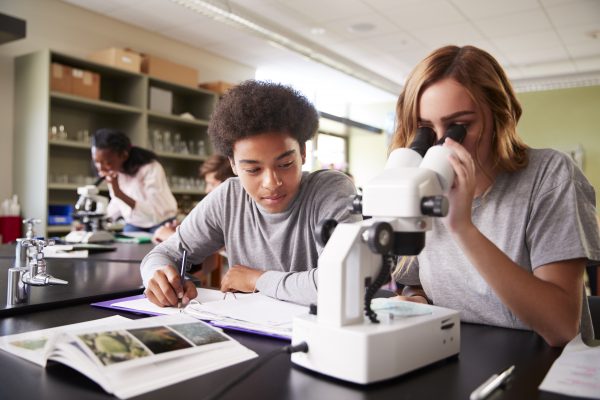 Two students studying biology, one looking in microscope and the other writing.
