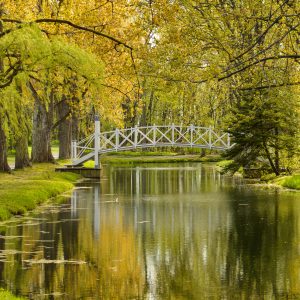 Bridge over river in a city park.