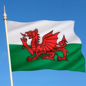 Welsh flag - red dragon on a white and green background.