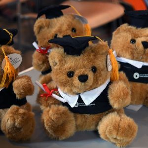 Graduation Teddy
