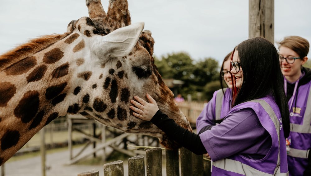 Learners wearing purple hi-vis stroking a giraffe