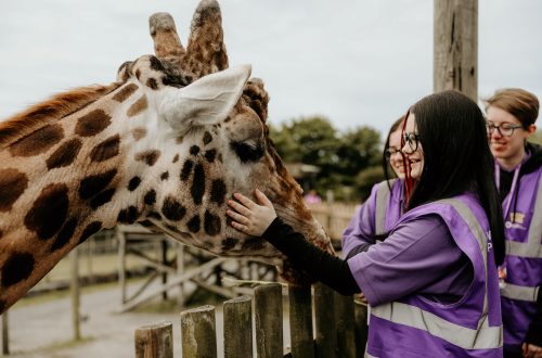 Animal Management Course