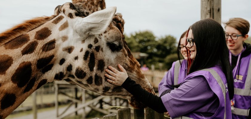 Animal Management Course