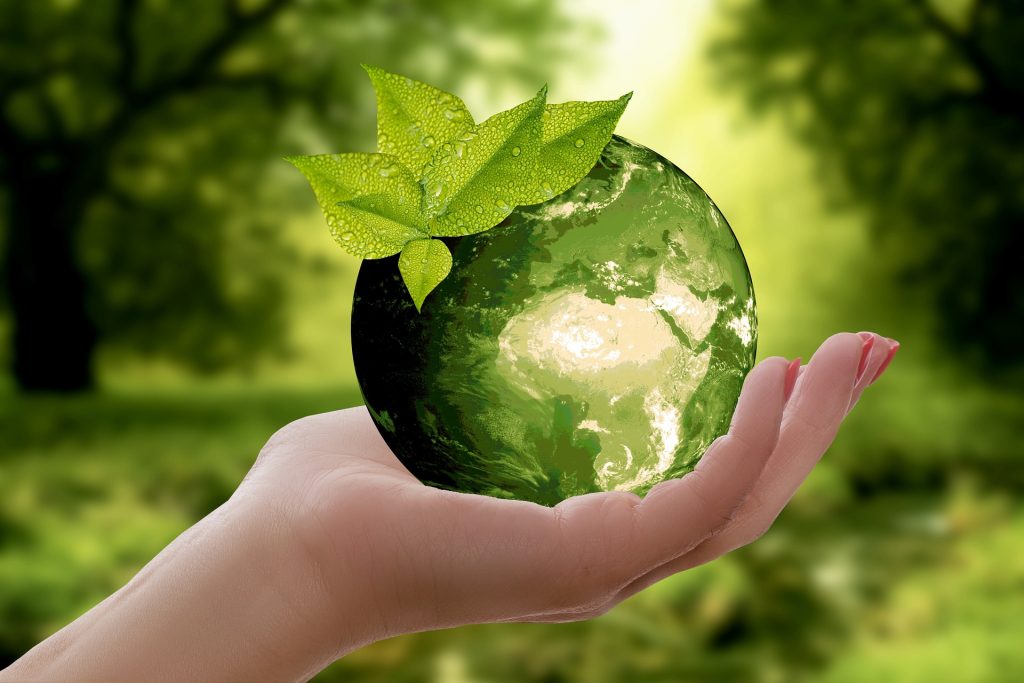 Hand holding a green globe with a leaf on top