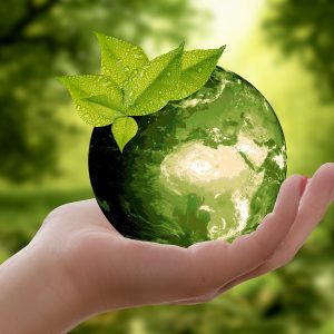Hand holding a green globe with a leaf on top