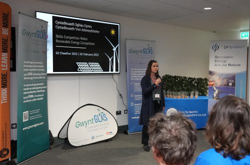 Presenter in front of screen.