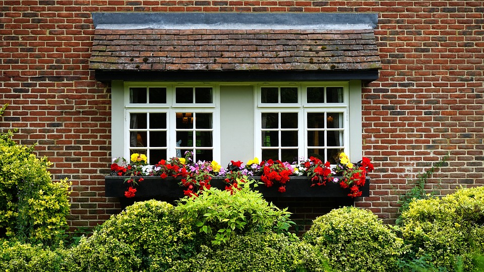 window showing leading detail