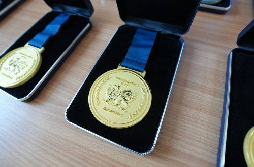 World Skills UK Gold Medal in Blue Case