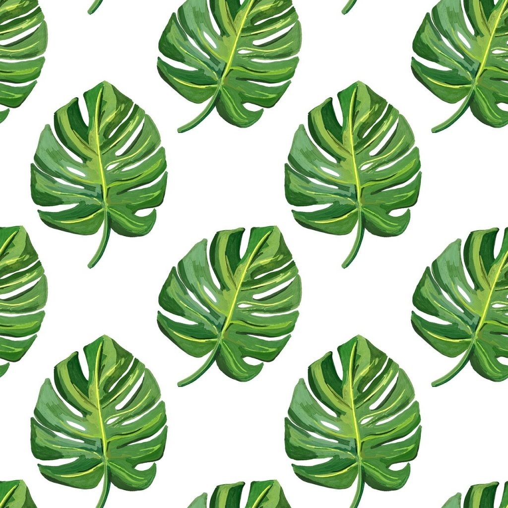 printed images of broad leaf