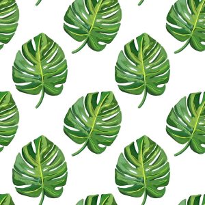 printed images of broad leaf