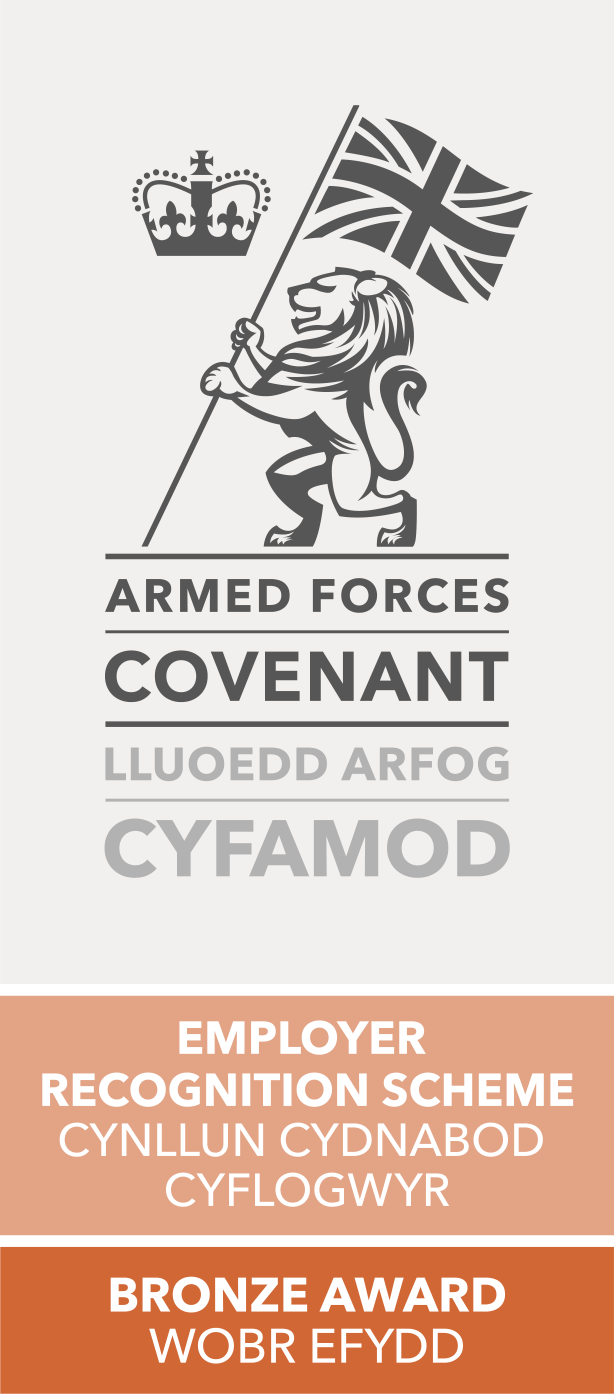 Logo Efydd y Lluoedd Arfog